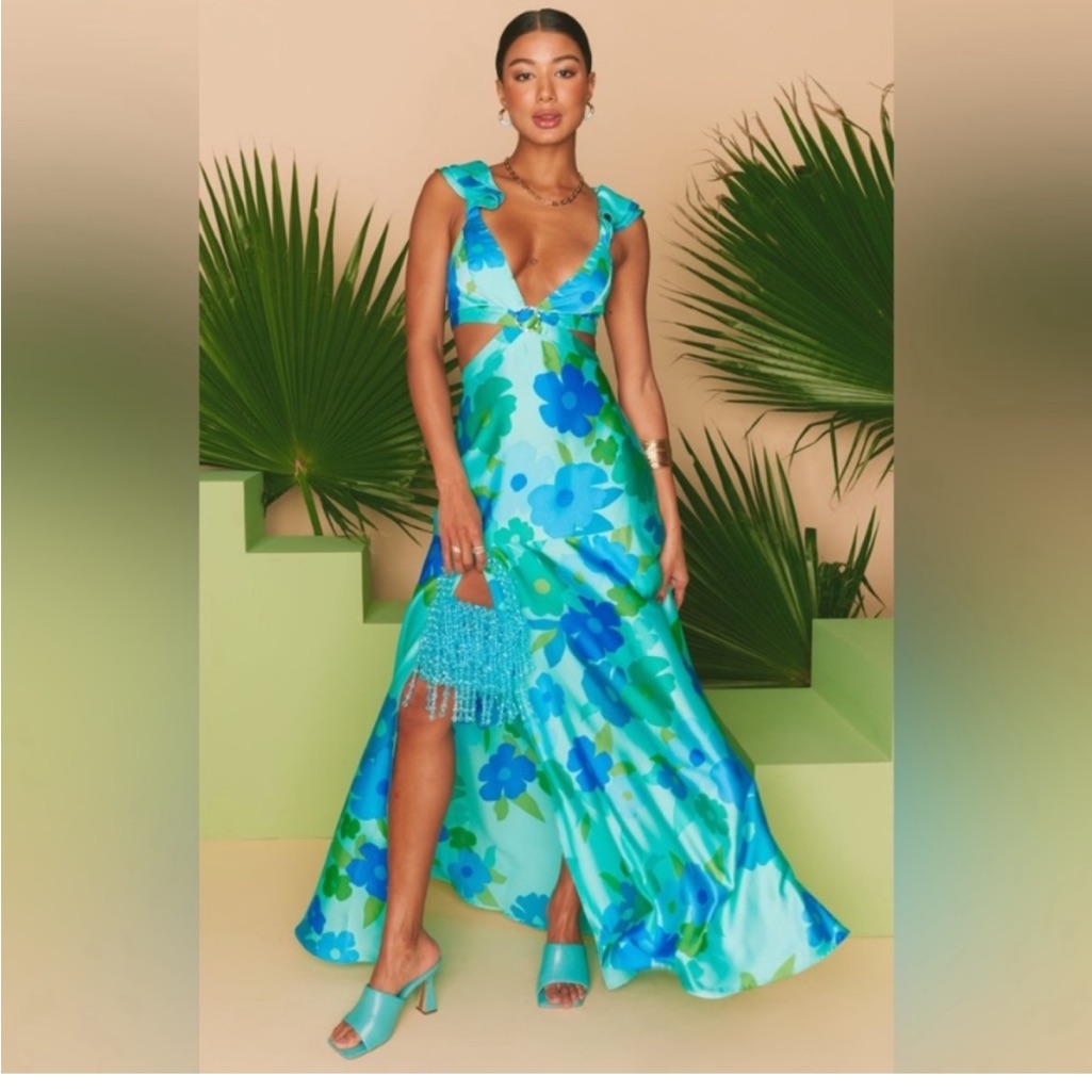 Francie Maxi Dress In Blue Piccadilly Flora Show Me Your Mumu
